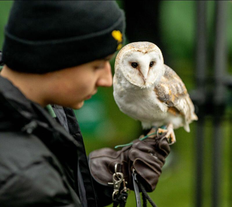Family Fun Day Activity
