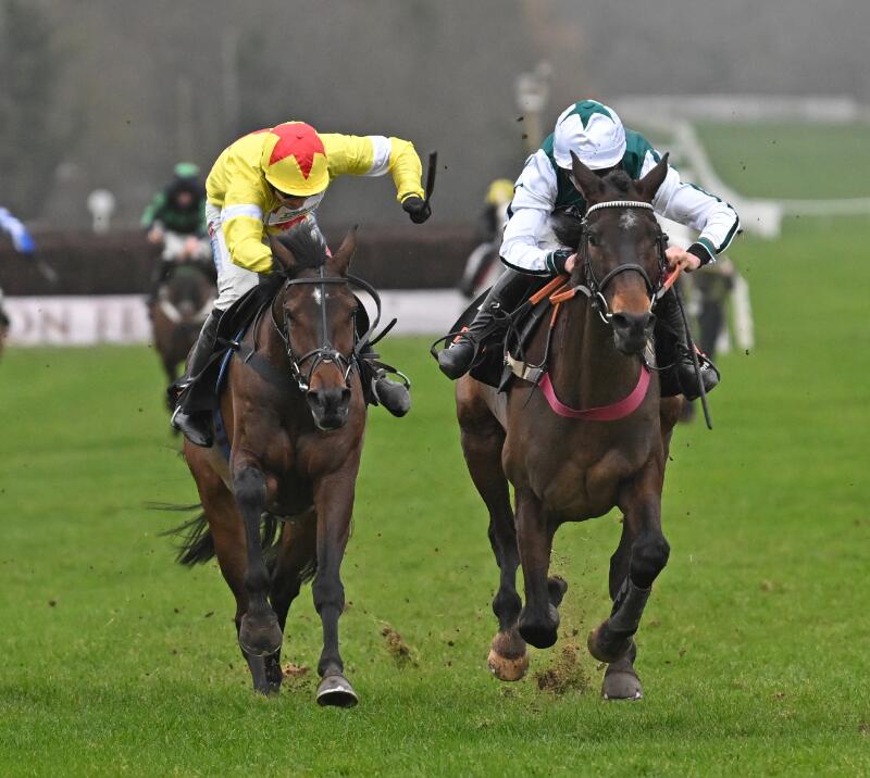 L'Homme Presse in the Fleur De Lys Chase during the 2023 Winter Million