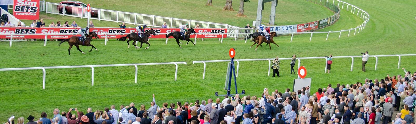 Horses racing around a turf track