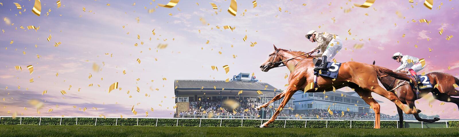 Flat Season Finale Windsor Racecourse on Monday 8th September 2025