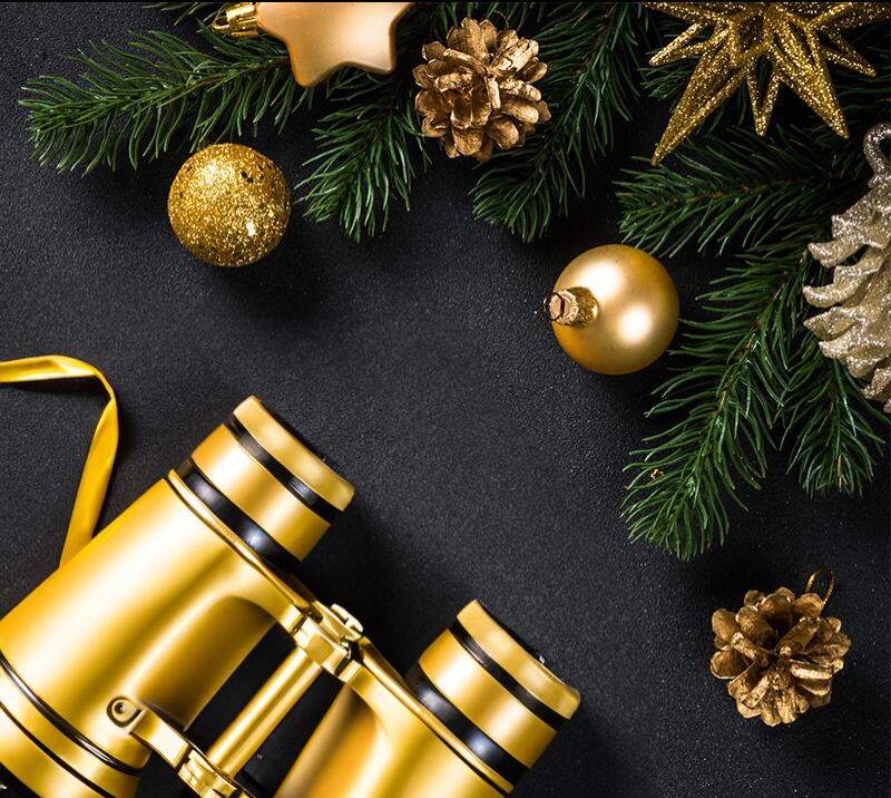 Day 8 of 12 Days of Christmas