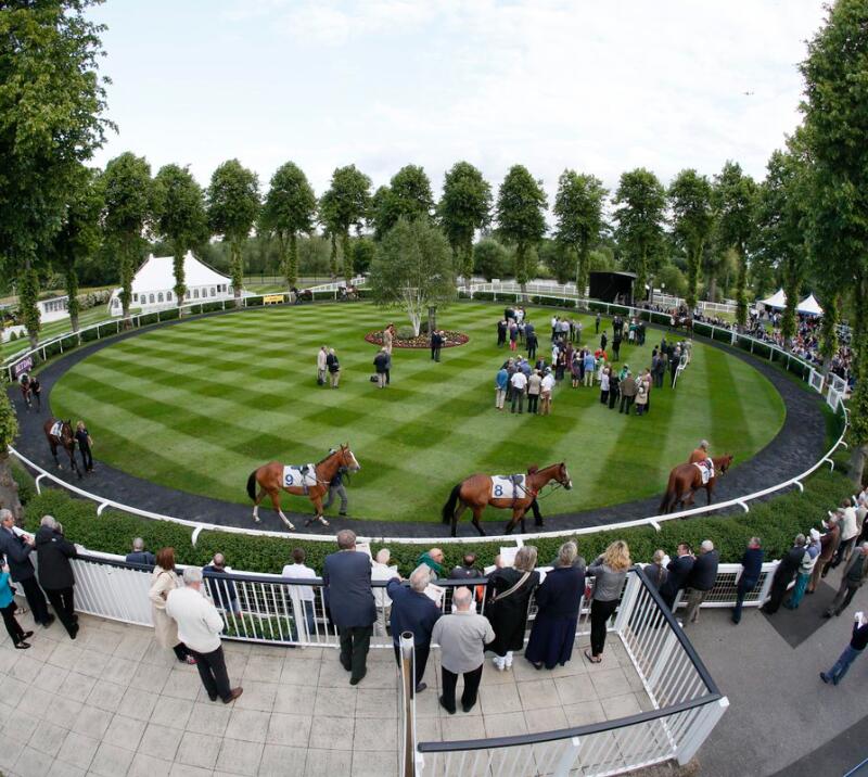 Parade ring
