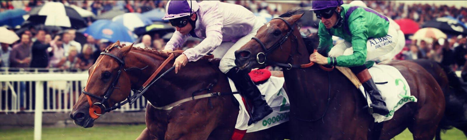 Jockeys racing at Windsor Racecourse.